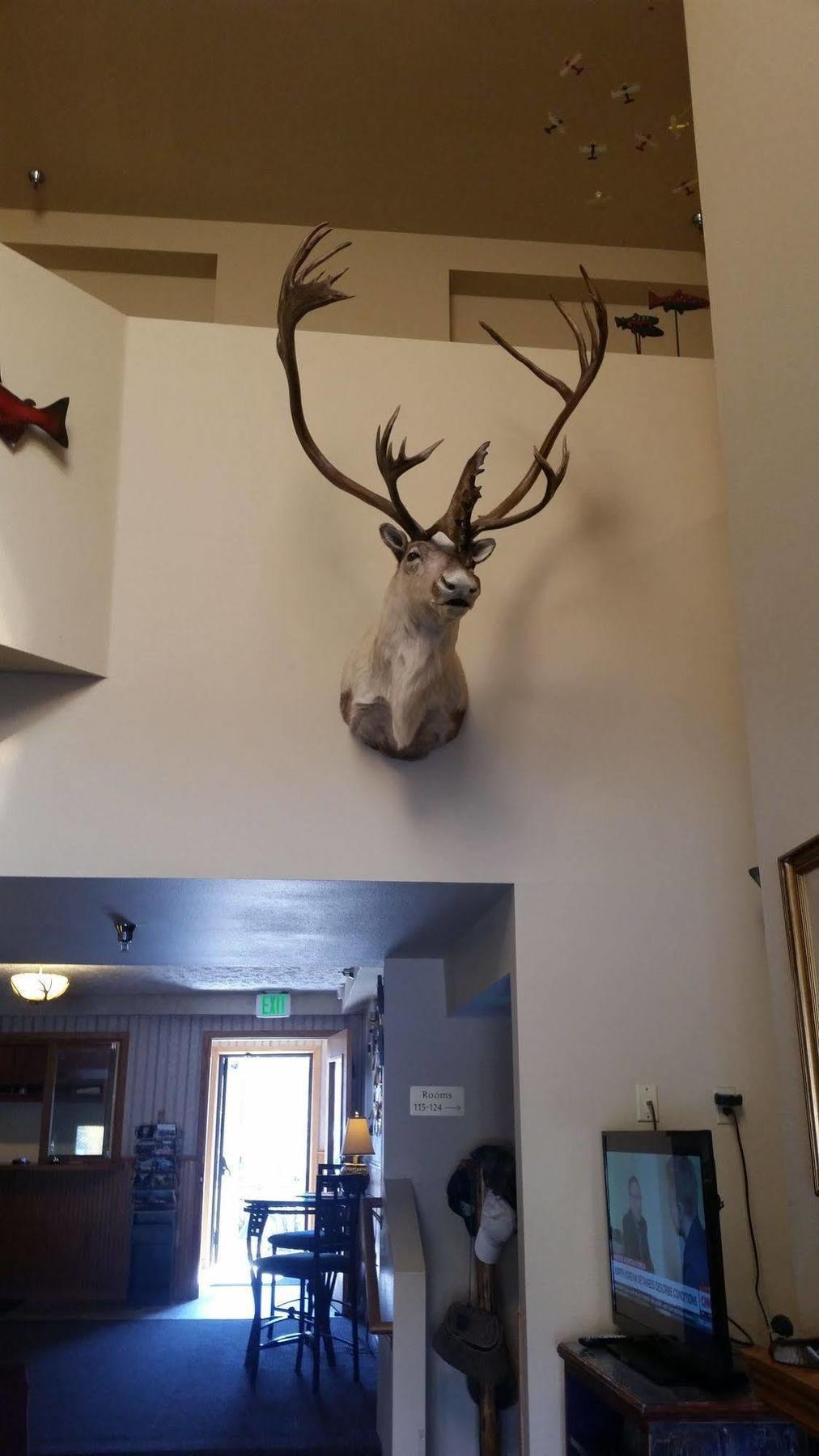 Lakeshore Inn&Suites Anchorage Eksteriør bilde