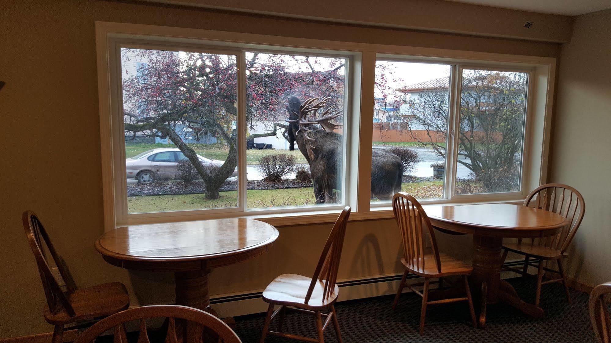 Lakeshore Inn&Suites Anchorage Eksteriør bilde